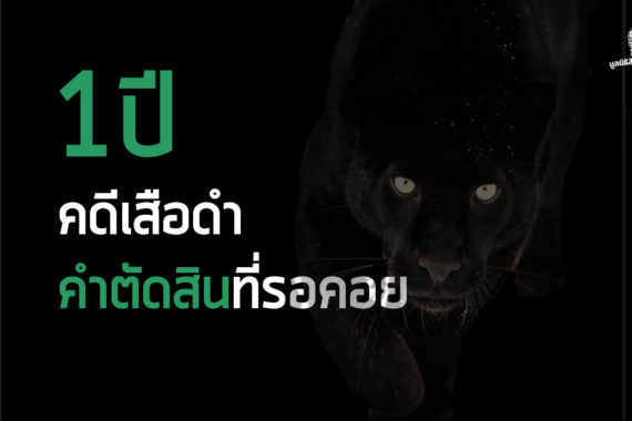 1ปี “คดีเสือดำ”คำตัดสินที่รอคอย