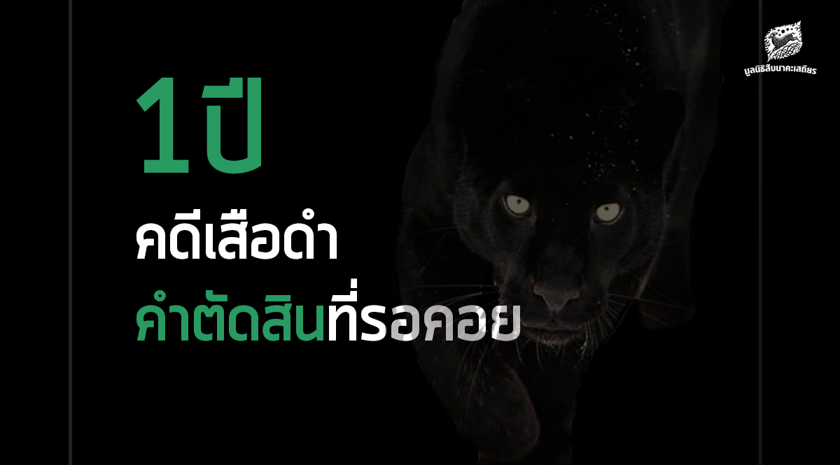 1ปี “คดีเสือดำ”คำตัดสินที่รอคอย