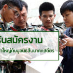 เปิดรับสมัครงาน ร่วมรักษาป่าใหญ่กับ “มูลนิธิสืบนาคะเสถียร”