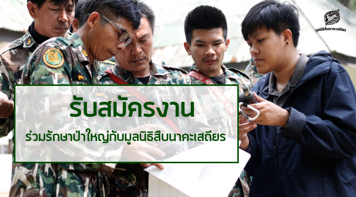 เปิดรับสมัครงาน ร่วมรักษาป่าใหญ่กับ “มูลนิธิสืบนาคะเสถียร”