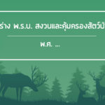 ร่างพ.ร.บ.สงวนและคุ้มครองสัตว์ป่าพ.ศ. .…