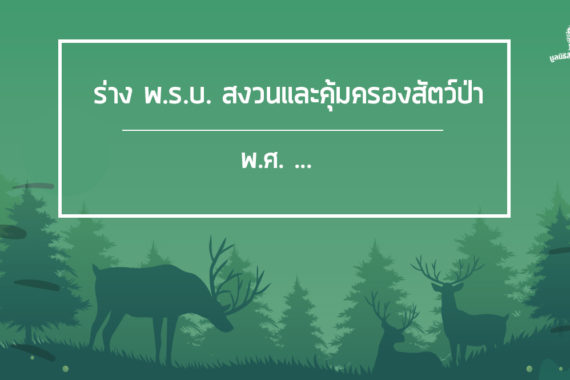 ร่างพ.ร.บ.สงวนและคุ้มครองสัตว์ป่าพ.ศ. .…