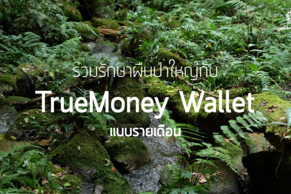 ร่วมรักษาป่าใหญ่กับ TrueMoney Wallet (แบบรายเดือน)