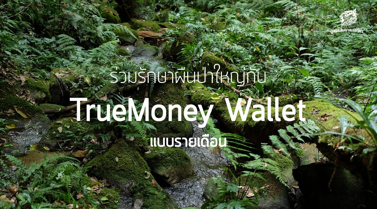ร่วมรักษาป่าใหญ่กับ TrueMoney Wallet (แบบรายเดือน)