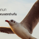 ทำไมปากของนกถึงมีลักษณะแตกต่างกัน ?