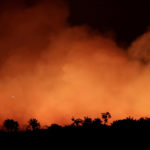 มีอะไรอยู่ในเปลวเพลิงที่กำลังแผดเผาผืนป่าแอมะซอน ปอดของพวกเราทุกคน