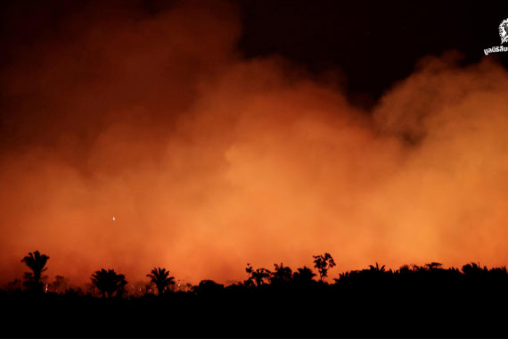 มีอะไรอยู่ในเปลวเพลิงที่กำลังแผดเผาผืนป่าแอมะซอน ปอดของพวกเราทุกคน