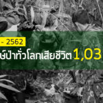 IRFเผยสถิติผู้พิทักษ์ป่าเสียชีวิตทั่วโลก 10 ปี 1,038 คน – และชวนอ่านความเห็นส่วนหนึ่งจากประชาชนอยากสนับสนุนผู้พิทักษ์ป่าด้านใดบ้าง