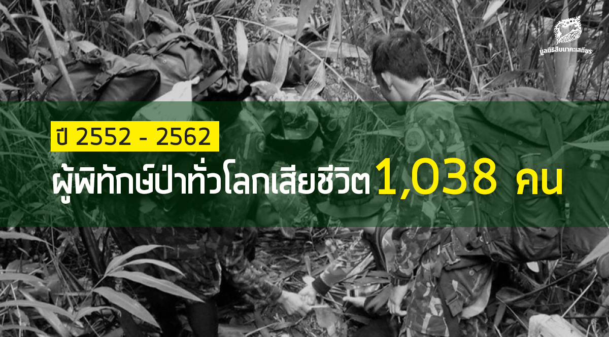 IRFเผยสถิติผู้พิทักษ์ป่าเสียชีวิตทั่วโลก 10 ปี 1,038 คน – และชวนอ่านความเห็นส่วนหนึ่งจากประชาชนอยากสนับสนุนผู้พิทักษ์ป่าด้านใดบ้าง