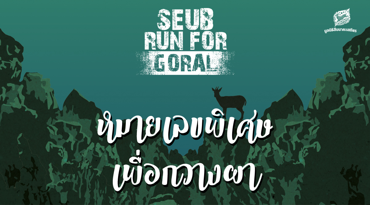 ร่วมฟื้นฟูประชากรกวางผากับหมายเลขพิเศษในงาน Seub Run for Goral