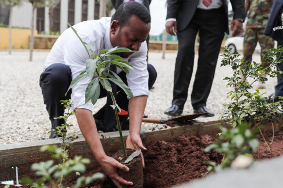เอธิโอเปีย ปลูกต้นไม้ 350 ล้านต้นในหนึ่งวันเพื่อรับมือวิกฤติภูมิอากาศ