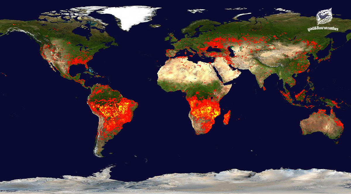 2 ทศวรรษที่ผ่านมา ไฟป่าเกิดขึ้นบ่อยแค่ไหน