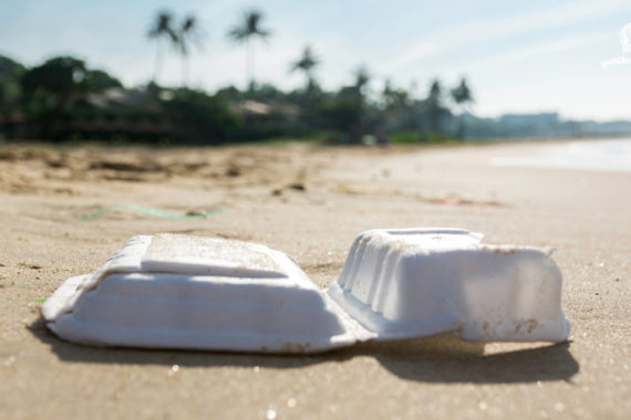 ขยะบนชายหาดทั่วโลกส่วนใหญ่มาจากอุปนิสัยการกินของพวกเรา