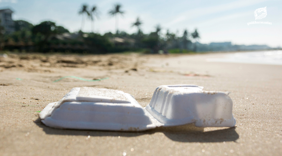 ขยะบนชายหาดทั่วโลกส่วนใหญ่มาจากอุปนิสัยการกินของพวกเรา