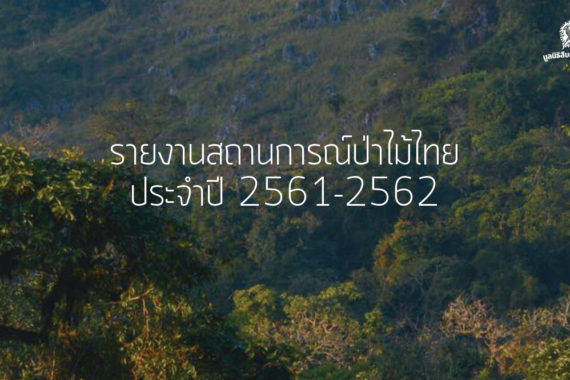 รายงาน สถานการณ์ป่าไม้ไทย 2561-2562