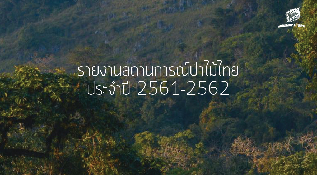 รายงาน สถานการณ์ป่าไม้ไทย 2561-2562