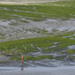 สาหร่ายมรณะ มลพิษแห่งหาดบริททานี ที่ ‘ฆ่าคุณได้ในระดับวินาที’