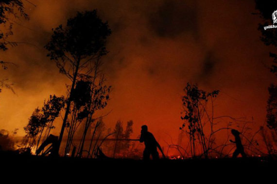 ไฟป่าอินโดนีเซีย กับปัญหามลพิษข้ามพรมแดน