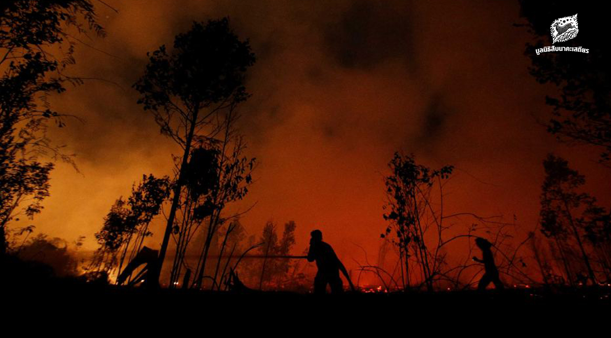 ไฟป่าอินโดนีเซีย กับปัญหามลพิษข้ามพรมแดน
