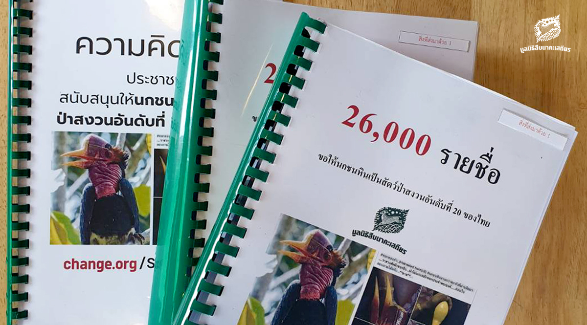 ปธ.มูลนิธิสืบฯ เตรียมยื่นรายชื่อสนับสนุนให้ นกชนหิน เป็นสัตว์ป่าสงวนลำดับที่ 20 ของไทย