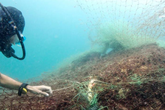 แนวปะการัง ในพม่า ‘ได้รับความเสียหาย’ กว่าร้อยละ 70