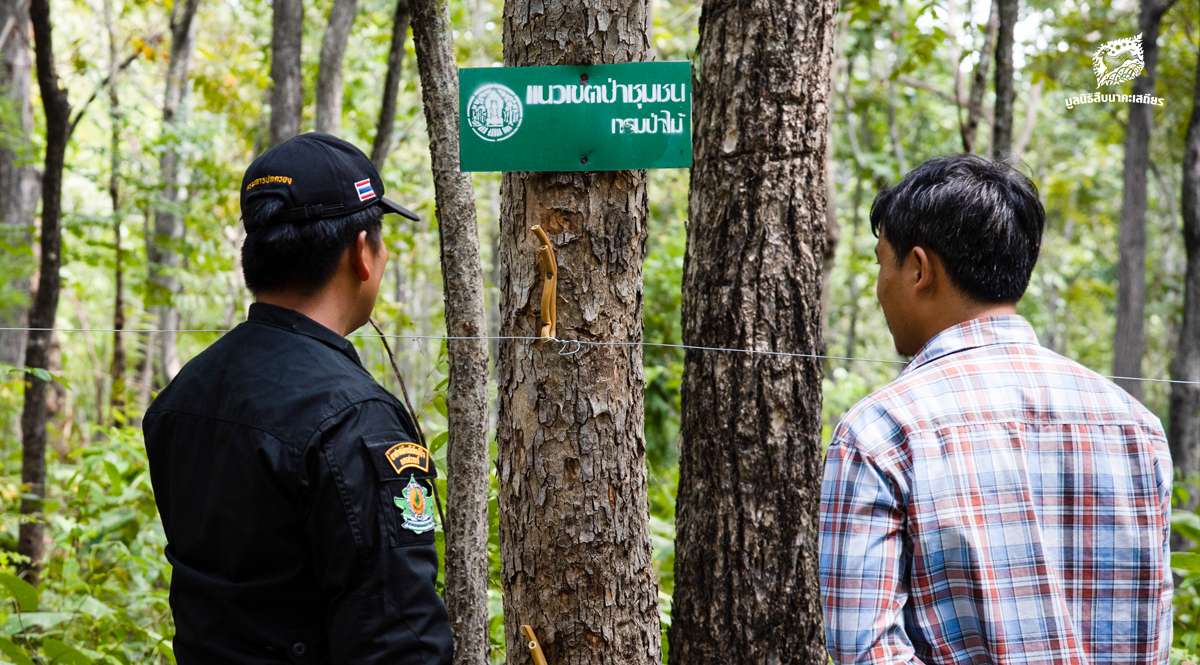 แนวคิด ‘สามก้อนเส้า’ กับการร่วม รักษาป่า แบบไตรภาคี