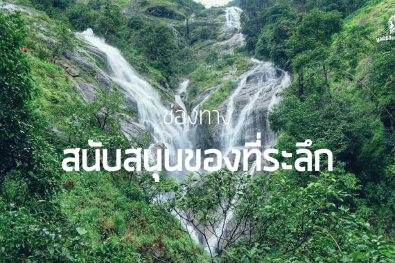 วิธีสนับสนุน ของที่ระลึก มูลนิธิสืบนาคะเสถียร