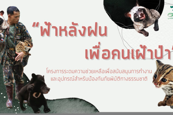 “ฟ้าหลังฝน เพื่อคนเฝ้าป่า” โครงการระดมความช่วยเหลือ เพื่อสนับสนุนการทำงานและอุปกรณ์สำหรับป้องกันภัยพิบัติทางธรรมชาติ