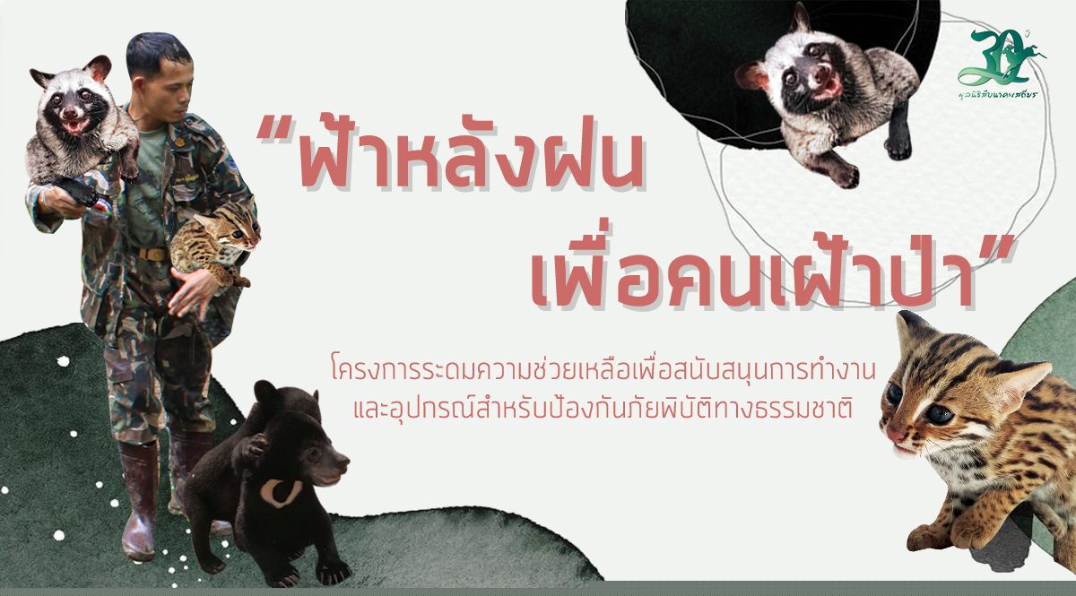 “ฟ้าหลังฝน เพื่อคนเฝ้าป่า” โครงการระดมความช่วยเหลือ เพื่อสนับสนุนการทำงานและอุปกรณ์สำหรับป้องกันภัยพิบัติทางธรรมชาติ
