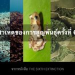 สาเหตุของการสูญพันธุ์ครั้งที่ 6 จากหนังสือ The Sixth Extinction