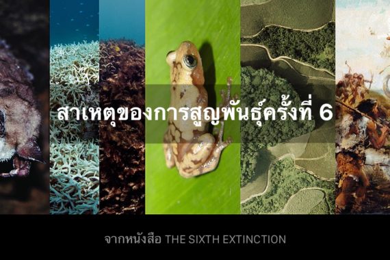 สาเหตุของการสูญพันธุ์ครั้งที่ 6 จากหนังสือ The Sixth Extinction