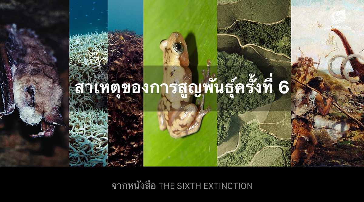 สาเหตุของการสูญพันธุ์ครั้งที่ 6 จากหนังสือ The Sixth Extinction