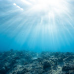 การศึกษาระบุ มหาสมุทรยังมีโอกาสฟื้นฟูได้โดยใช้เวลา 30 ปี