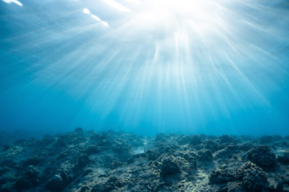 การศึกษาระบุ มหาสมุทรยังมีโอกาสฟื้นฟูได้โดยใช้เวลา 30 ปี