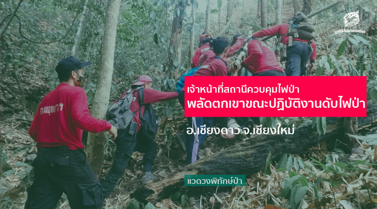 เจ้าหน้าที่สถานีควบคุมไฟป่าฯ พลัดตกเขาขณะปฏิบัติ​งานดับ​ไฟป่า อ.เชียงดาว จ.เชียงใหม่