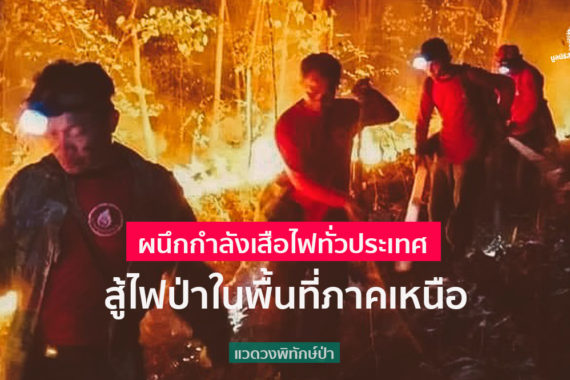 ผนึกกำลังเสือไฟทั่วประเทศ สู้ไฟป่าในพื้นที่ภาคเหนือ