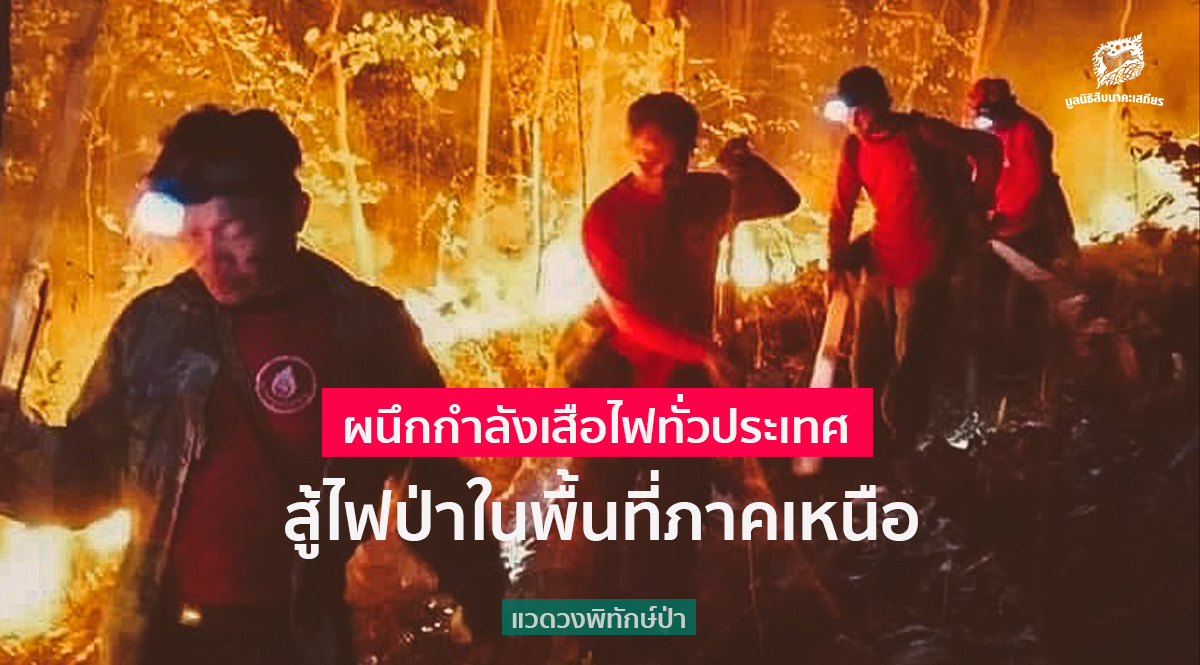 ผนึกกำลังเสือไฟทั่วประเทศ สู้ไฟป่าในพื้นที่ภาคเหนือ