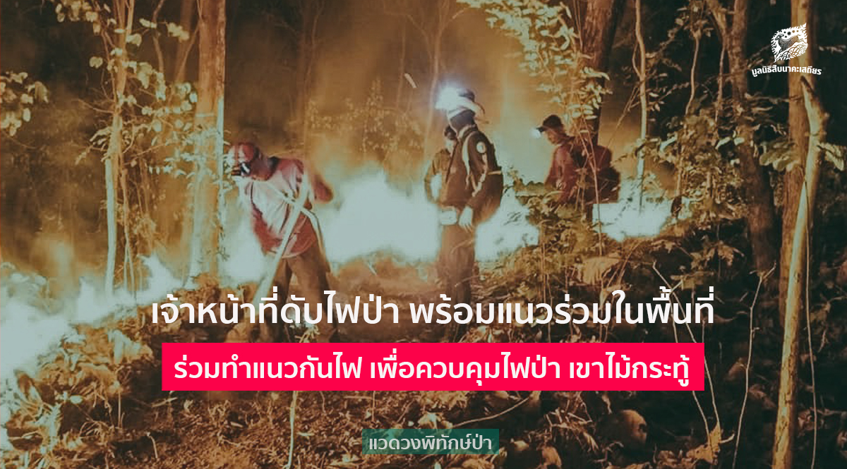 เจ้าหน้าที่ดับไฟป่า พร้อมแนวร่วมในพื้นที่ ร่วมทำแนวกันไฟ เพื่อควบคุมไฟป่า เขาไม้กระทู้  อ.แม่วงก์