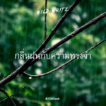 WILD-WRITE : กลิ่นฝนกับความทรงจำ