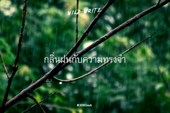 WILD-WRITE : กลิ่นฝนกับความทรงจำ