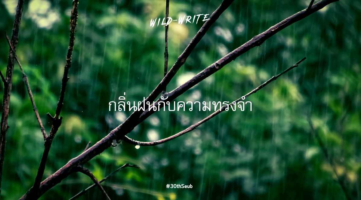 WILD-WRITE : กลิ่นฝนกับความทรงจำ