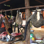 “ตลาดค้าสัตว์ป่า”แหล่งเพาะเชื้อโรคชั้นดี