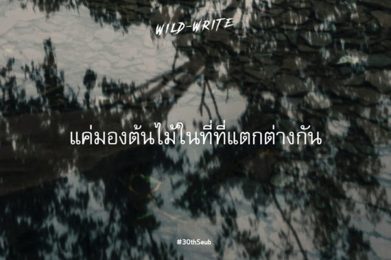 WILD-WRITE : แค่มองต้นไม้ ในที่ที่แตกต่างกัน