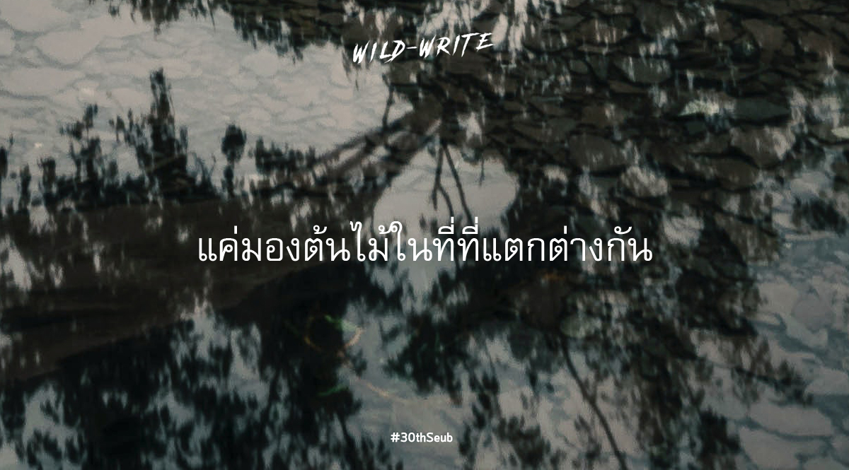 WILD-WRITE : แค่มองต้นไม้ ในที่ที่แตกต่างกัน