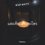 WILD-WRITE : แสงเทียนแห่งพงไพร