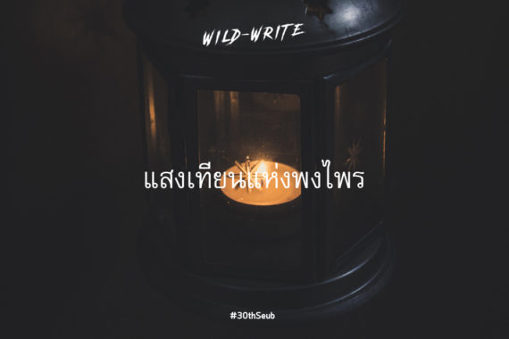 WILD-WRITE : แสงเทียนแห่งพงไพร