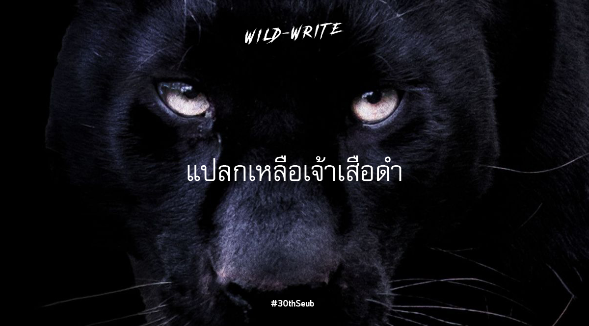 WILD-WRITE : แปลกเหลือเจ้าเสือดำ