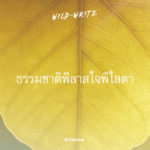 WILD-WRITE : ธรรมชาติพิลาสใจพิไลตา
