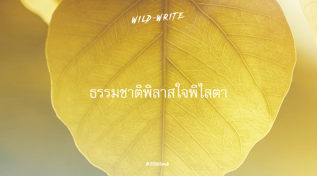 WILD-WRITE : ธรรมชาติพิลาสใจพิไลตา