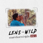 LENS-WILD ชวนเล่าเรื่องจากป่าสู่เมือง ซีรีย์ 2